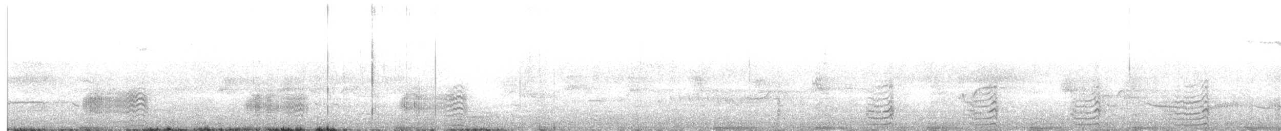 Lewin's Rail - ML643114048