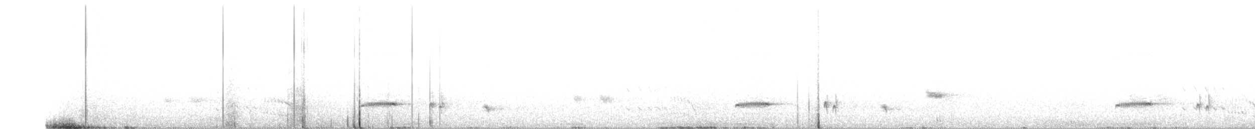 Western Whipbird - ML643114560