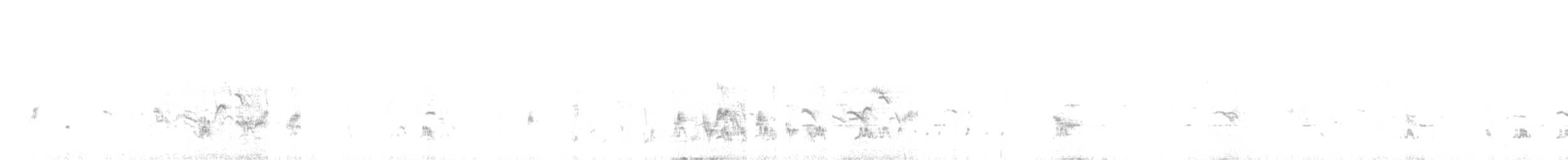 Bienenfresser - ML643115225