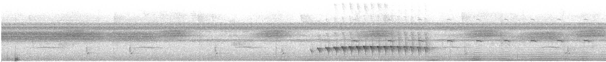 Dusky Antbird - ML643115344