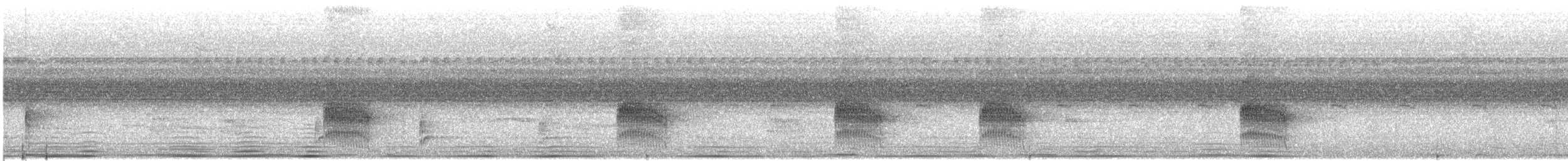Dusky Antbird - ML643115345