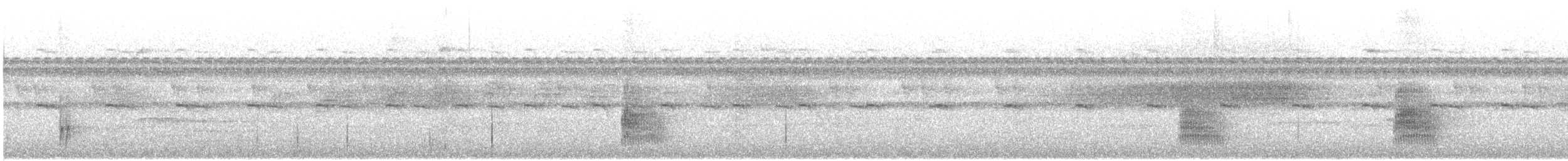 Dusky Antbird - ML643115347