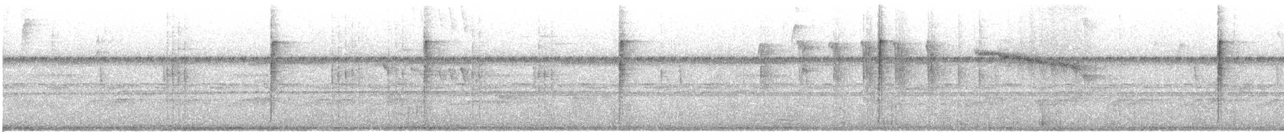Bronze-tailed Plumeleteer - ML643115396