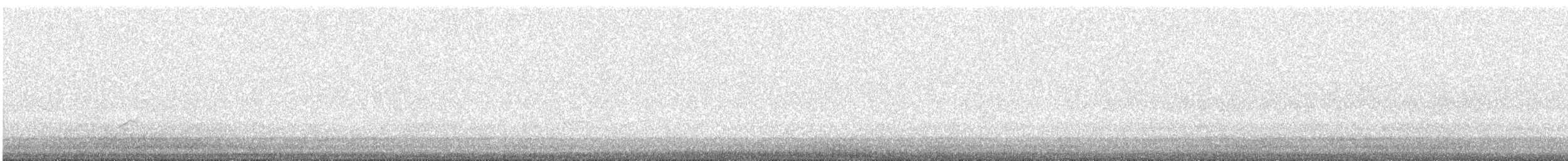 Tordo di Swainson - ML643115762