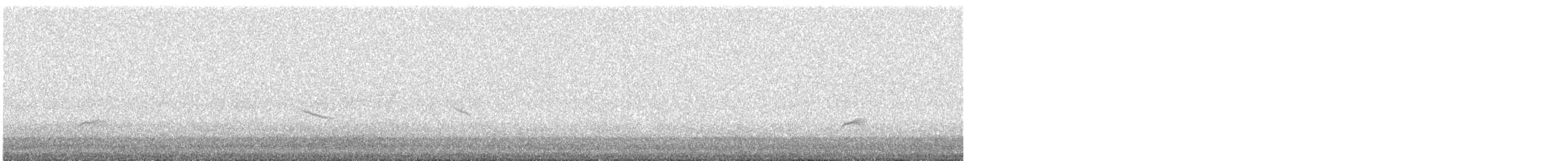 Hermit Thrush - ML643115772