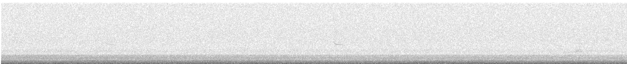 Hermit Thrush - ML643115775