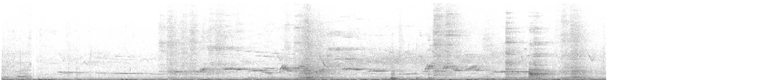 Gray Butcherbird - ML643116118