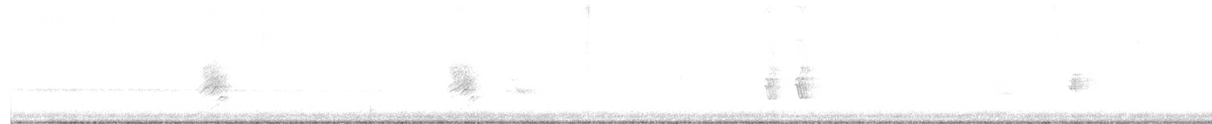 House Finch - ML643116866