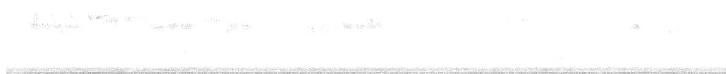 ハシボソキツツキ - ML643117036