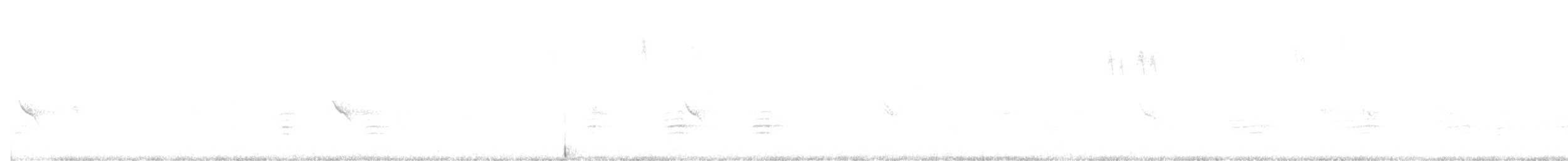 Mokolodi bekainoria - ML643117438