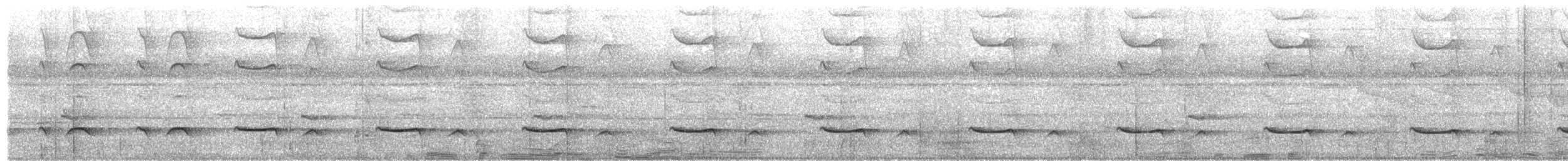 Banded Kingfisher (Black-faced) - ML643117772