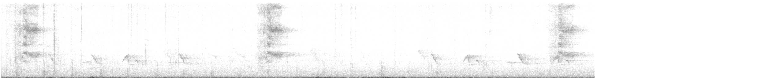 Common Grackle - ML643117774