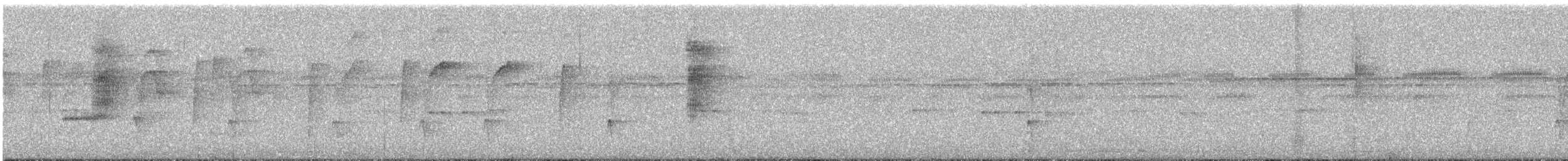 チャバラオリーブハエトリ - ML643118981