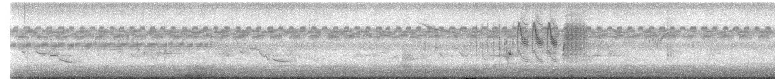 Grass Wren - ML643119301