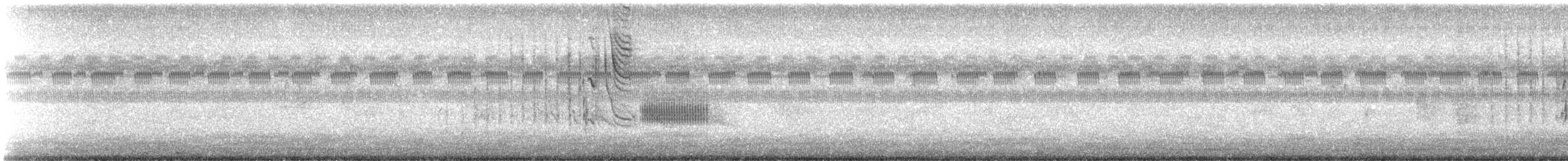 Grass Wren - ML643119302