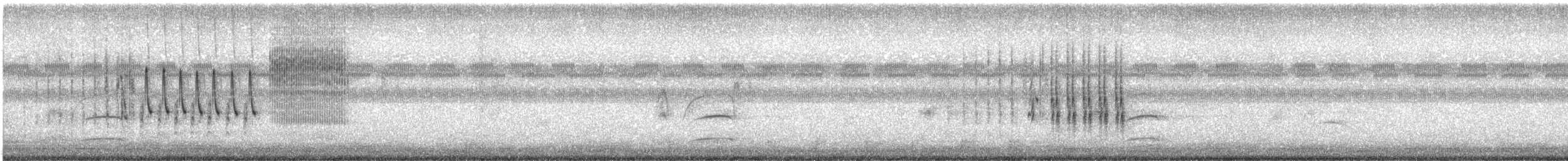 Grass Wren - ML643119303