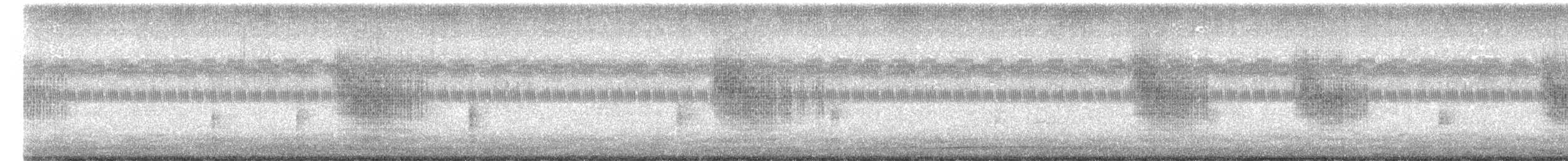 Grass Wren - ML643119304