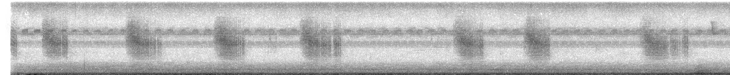 Grass Wren - ML643119305