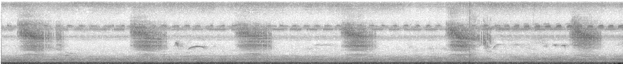 Grass Wren - ML643119306