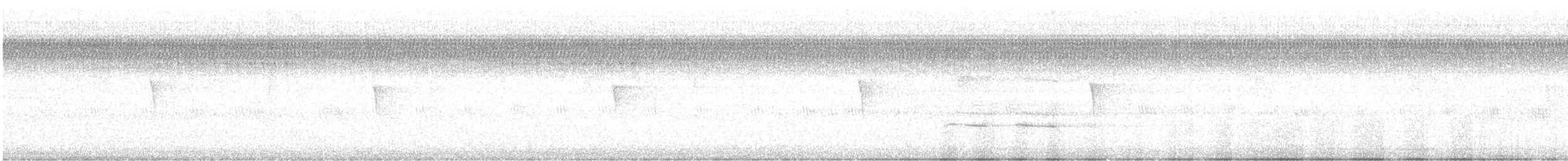 Moucherolle phébi - ML643121124
