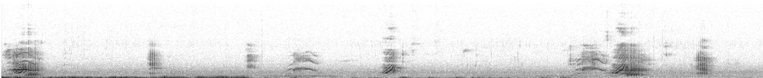 Cygne tuberculé - ML643121467