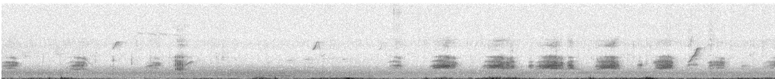 Canard colvert - ML643121470