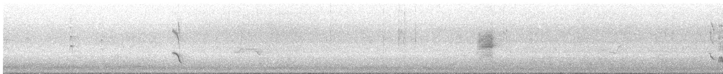 ナマリイロヒラハシ - ML643123355