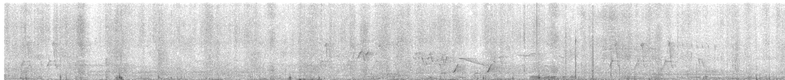 Doppelbandwürger - ML643123688
