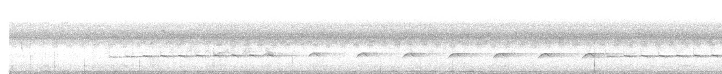 Молуккская дронговая кукушка - ML643125048