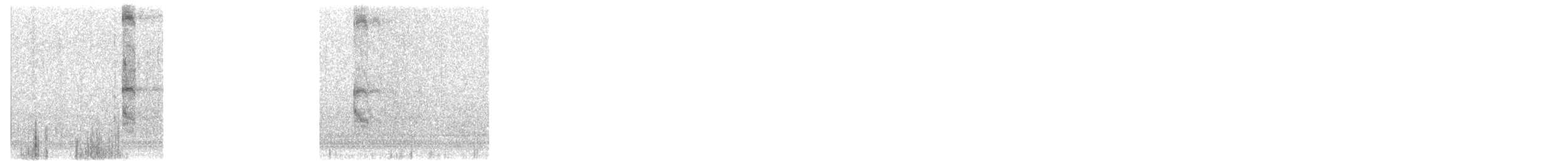 Sterne pierregarin - ML643126047