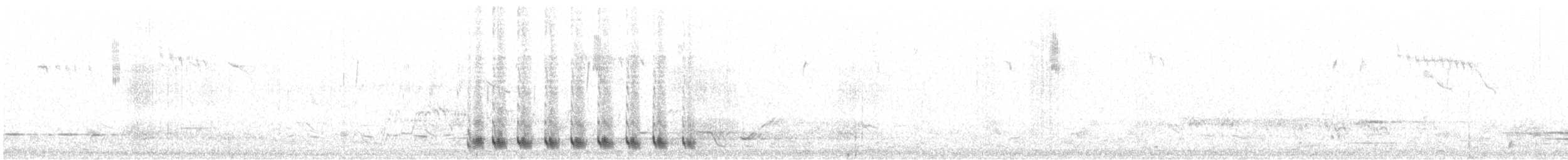 Schwarzkehl-Honigfresser - ML643126564