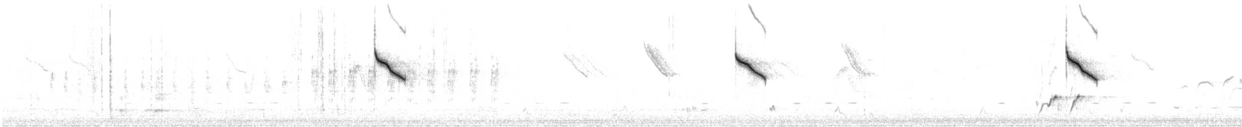 Chestnut-rumped Thornbill - ML643126607