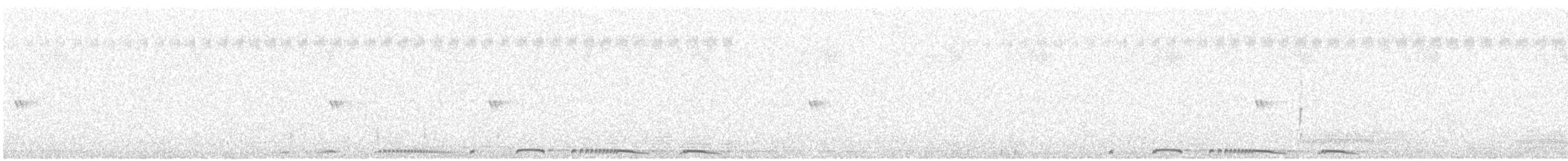 hrdlička kropenatá (ssp. chinensis/suratensis) - ML643126919