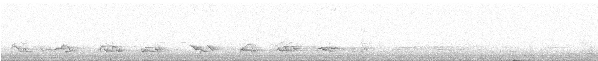 American Robin - ML643127319