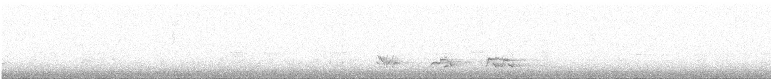 American Robin - ML643127568