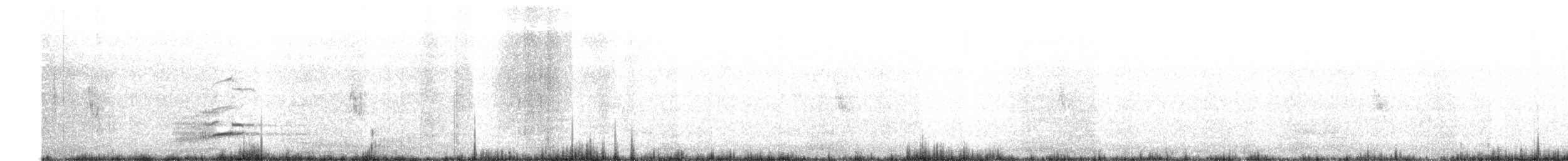 Courlis cendré - ML643130083