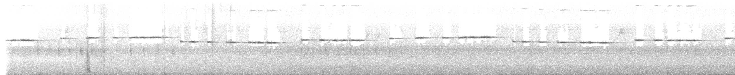 Spotted Elachura - ML643130481