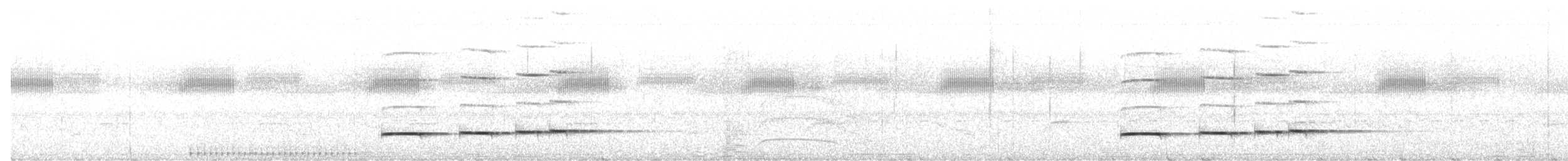 Pheasant Cuckoo - ML643132876