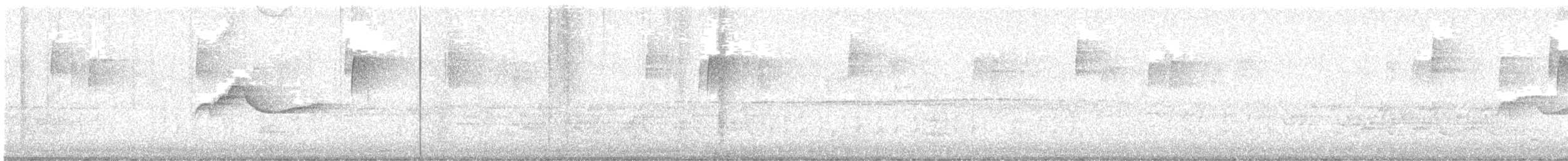 Eastern Wood-Pewee - ML643133785