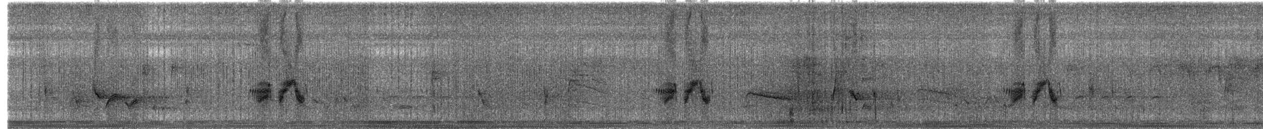 tyranovec olšový - ML643135054