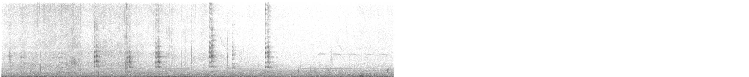 Kopetazuri amerikarra - ML643135074
