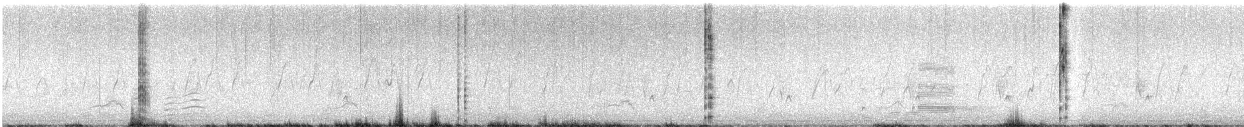 Kopetazuri amerikarra (amerikarra) - ML643136779