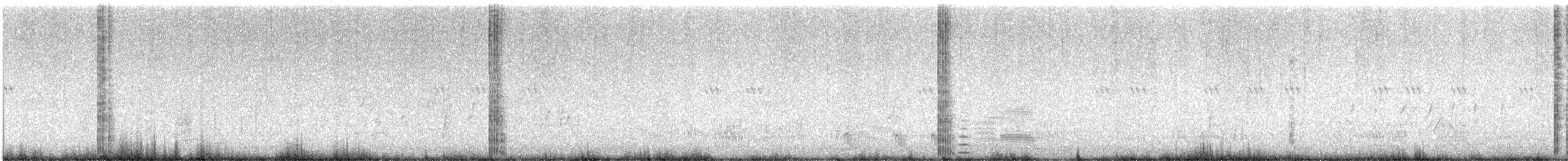Kopetazuri amerikarra (amerikarra) - ML643136780