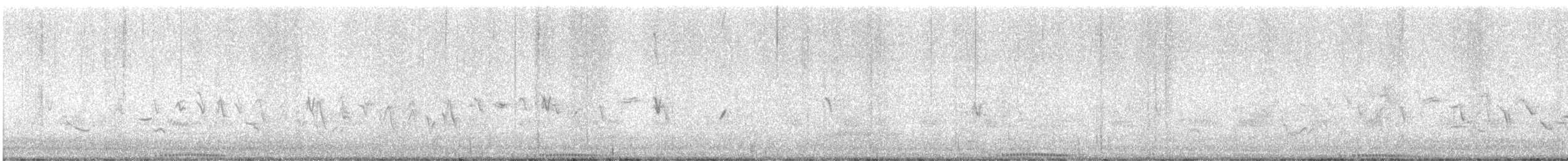 カワラバト（ドバト、家畜型） - ML643137873