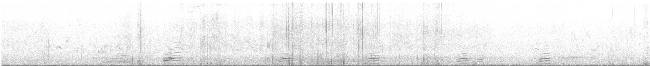 Casarca - ML643139898