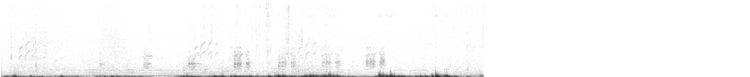 Black Bustard - ML643140052