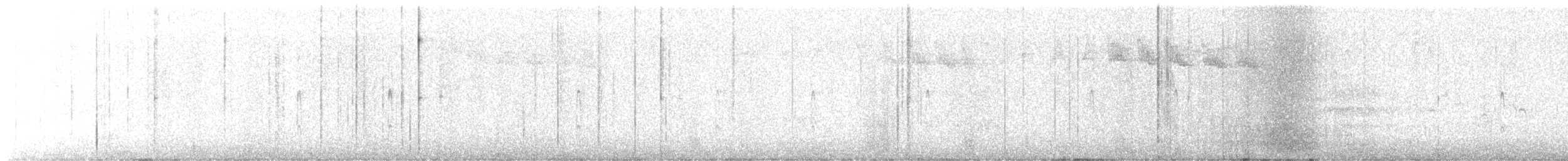 Great Spotted Woodpecker - ML643140983