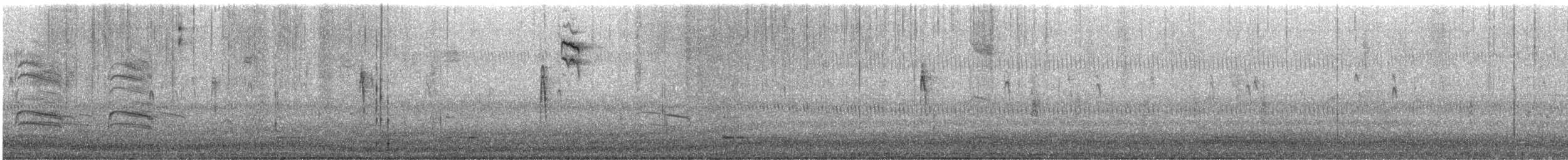 Nelson's Sparrow - ML643141679