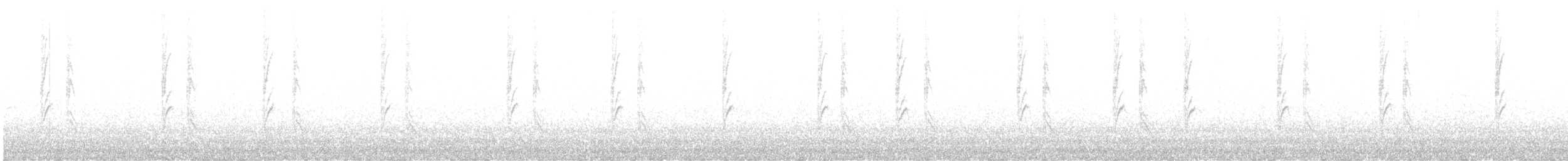 Red Crossbill - ML643141842