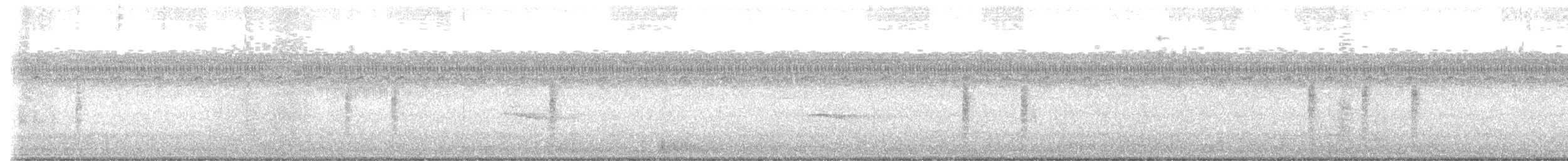 wren sp. - ML643141911